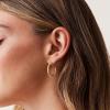 PAVOI 14K Gold Plated Twisted Rope Round Hoop Earrings in Rose, White and Yellow Gold(Pack White/Yellow)